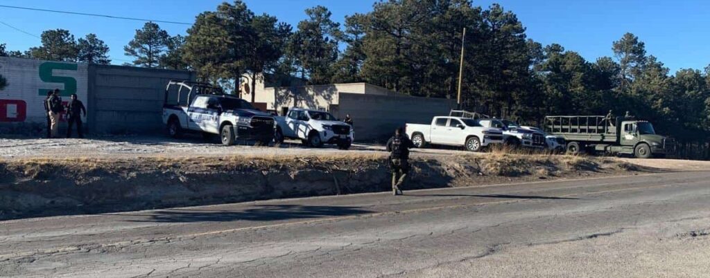 Aseguran madera y guías en aserraderos de San Juanito en operativos contra la tala ilegal