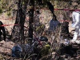 Continúa Equipo Forense Especializado los trabajos en fosas de Casas Grandes