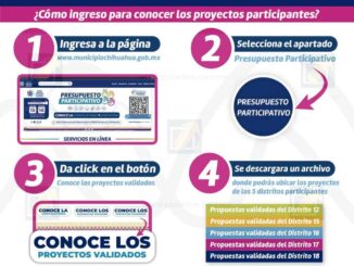 Todo listo para la próxima consulta del Presupuesto Participativo