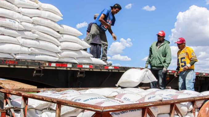 Impulsa Estado el desarrollo rural con estrategias de infraestructura, insumos y conservación de recursos naturales