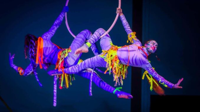 Disfrutan más de 35 mil chihuahuenses del Festival Familias Felices: DIF Municipal