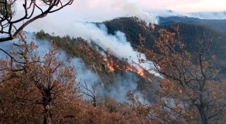 Incendios forestales en Chihuahua afectan más de 5 mil hectáreas