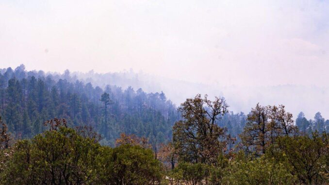 Participan 124 brigadistas en combate a incendios forestales