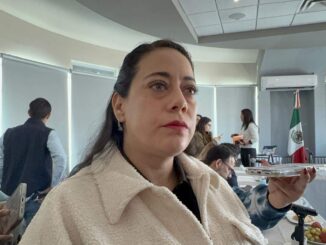 Se desintegra PT por grandes diferencias de trabajo entre diputadas – Al Instante Chihuahua.com