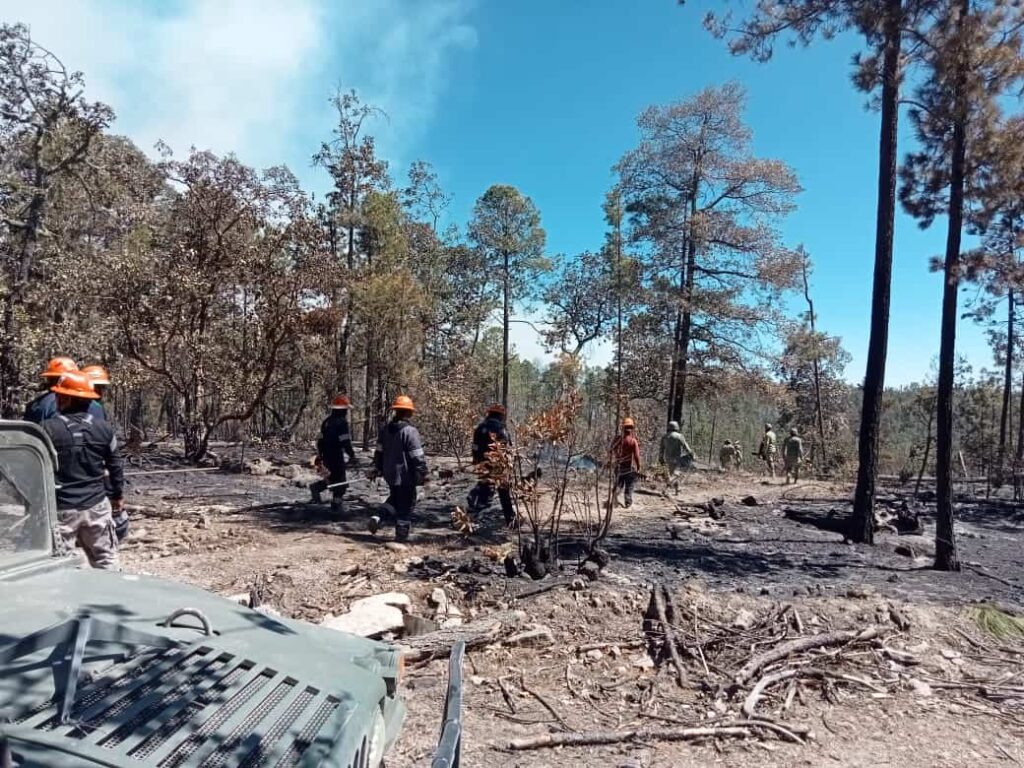 Trabajan 286 combatientes para abatir los 12 incendios activos en el estado