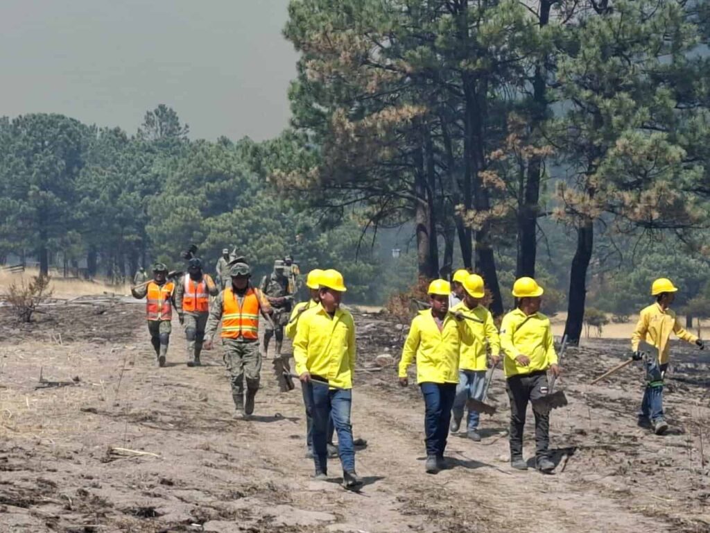 Trabajan más de 340 combatientes para sofocar 15 incendios forestales en el estado