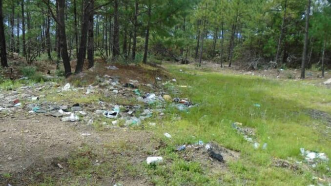 Hallan restos óseos humanos en Bocoyna