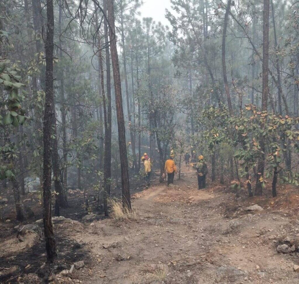 Trabajan 272 combatientes para abatir los siete incendios activos en la entidad