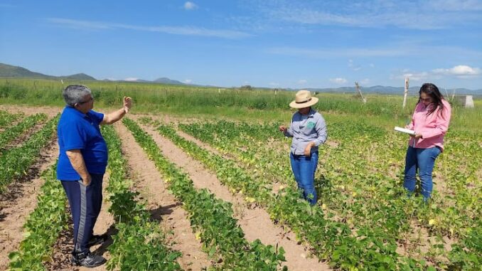 Apoya Gobierno del Estado a productores con gastos de seguros agrícolas