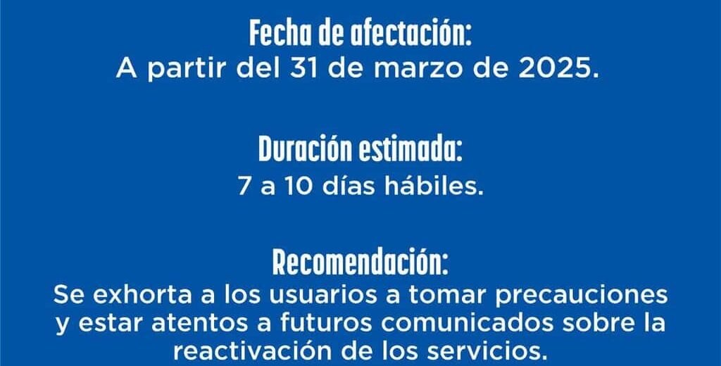 Estará fuera de servicio sistema de citas y REPUVE por auditoria