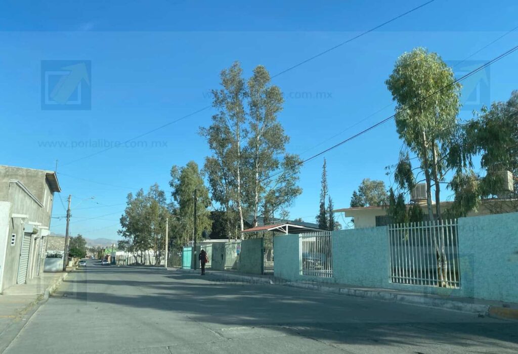 Presidenta de padres de familia de la Justo Sierra desmiente ser la madre agresora  