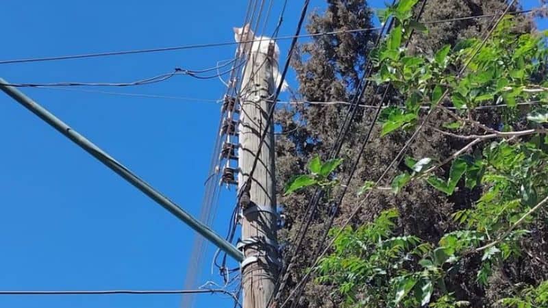 Vecinos piden auxilio y ninguna autoridad responde para salvar al gatito con dos días en el lugar
