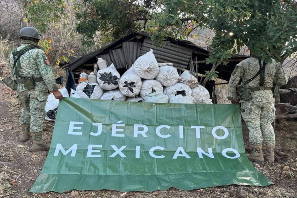 Ejército mexicano destruye 83 plantíos de amapola y mariguana