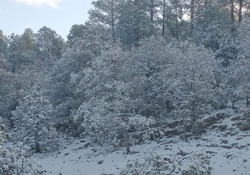 Se mantiene pronóstico de lluvias y nevadas para el fin de semana