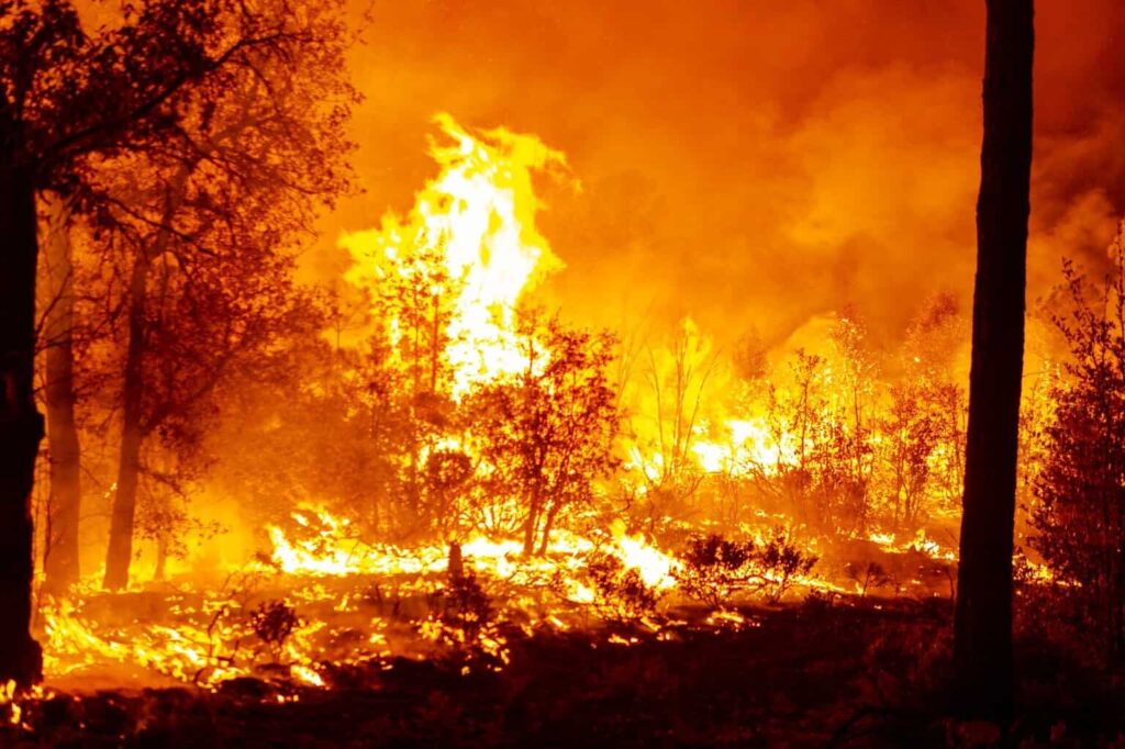 Trabajan 200 brigadistas en el combate de ocho incendios forestales en la entidad