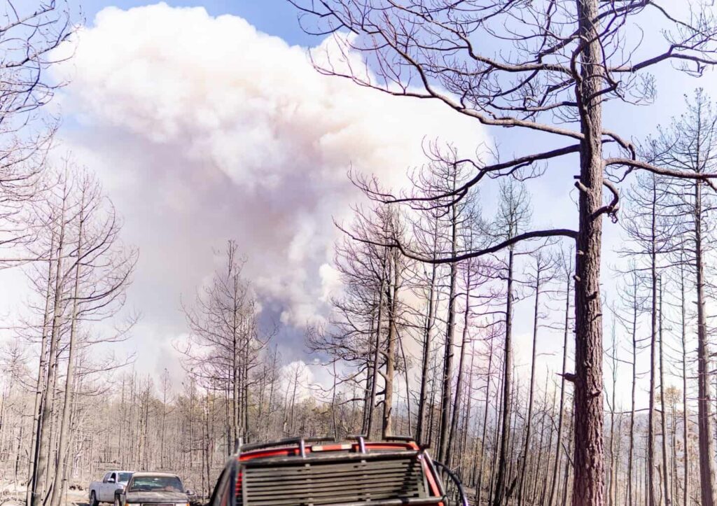 Combaten 30 brigadistas cuatro incendios forestales en zona serrana