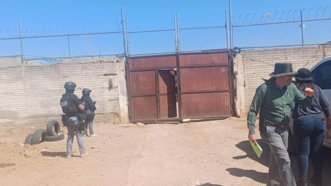 Catea FGE corralón de empresa de grúas y localiza dos vehículos robados