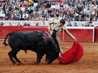Toreros buscan amparo contra la prohibición de corridas con sangre en CDMX