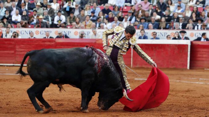 Toreros buscan amparo contra la prohibición de corridas con sangre en CDMX