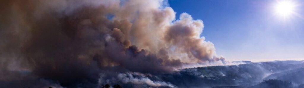 Registra SDR cinco incendios forestales activos en la entidad