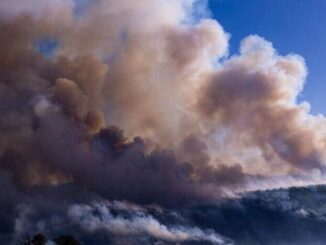 Registra SDR cinco incendios forestales activos en la entidad
