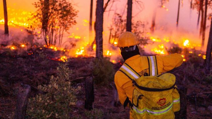 Combaten 138 brigadistas siete incendios forestales activos en cinco municipios