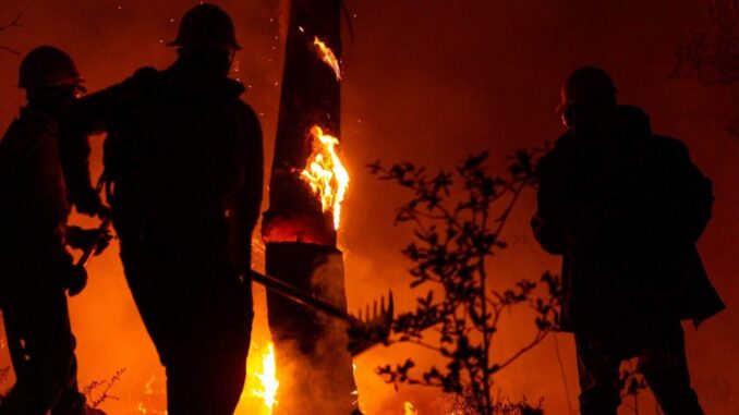 Controlado en un 90 por ciento incendio forestal en Guazapares: SDR