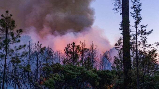 Refuerzan coordinación para combatir incendios forestales con instalación del Equipo Estatal de Manejo de Incidentes