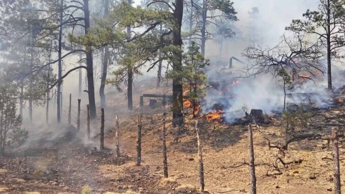 Permanecen activos 17 incendios forestales en la entidad