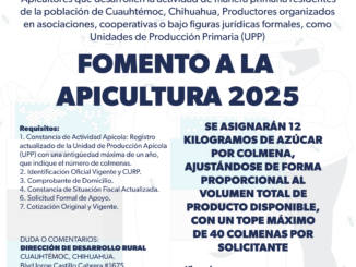 Convocatoria Fomento a la apicultura 2025