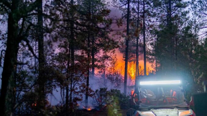 Permanecen activos 12 incendios forestales en el estado