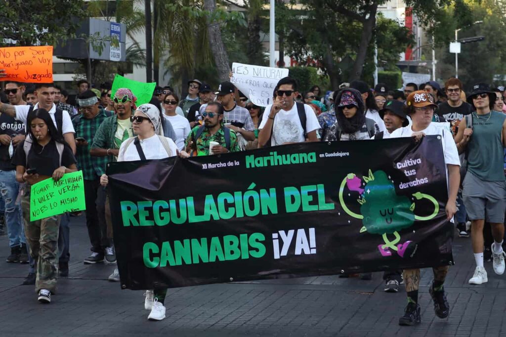 Activistas exigen regulación para consumo y uso recreativo de la mariguana en México