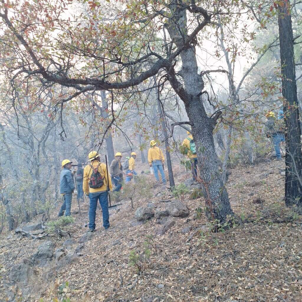 Incendios forestales en la entidad se encuentran controlados y sin riesgo para la población: SDR