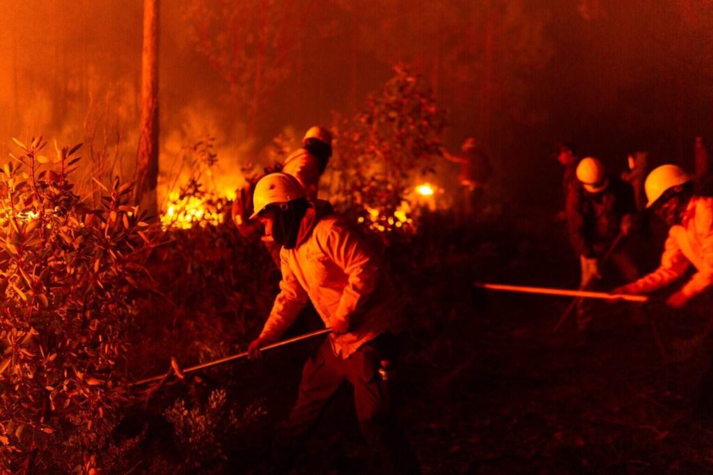 Reporta Secretaría de Desarrollo Rural 17 mil hectáreas con afectaciones por incendios forestales