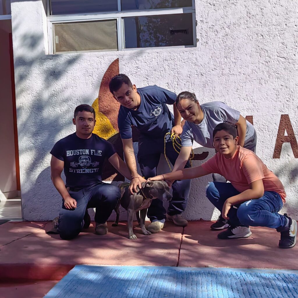 Perrita rescatada por Bomberos regresa con su familia, en Cuauhtémoc