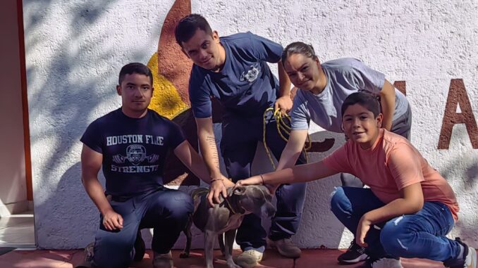 Perrita rescatada por Bomberos regresa con su familia, en Cuauhtémoc