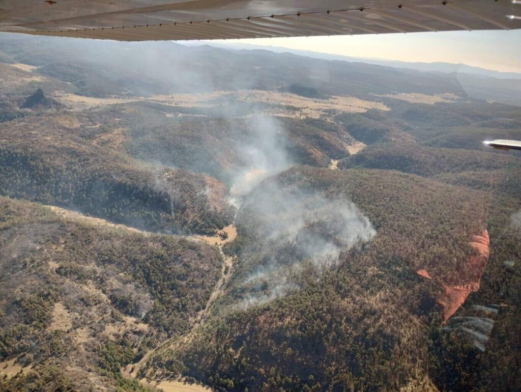 Brigadistas han combatido 373 incendios forestales en lo que va del año