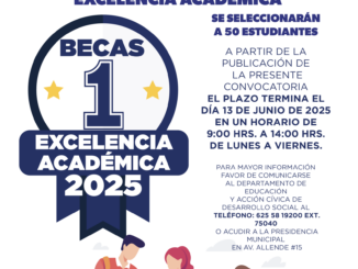 Becas excelencia académica