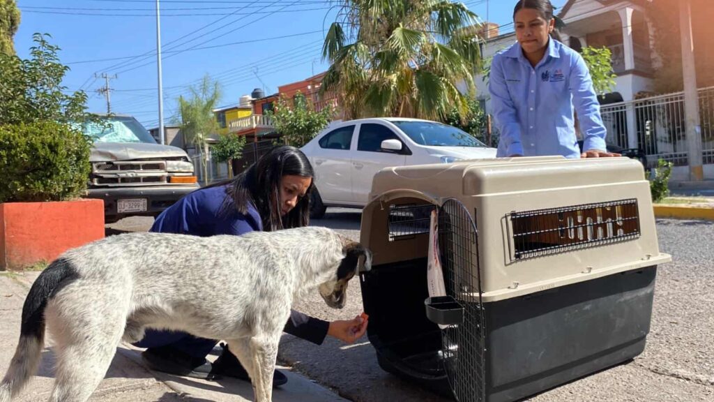 Capacitan en campo a integrantes de la nueva brigada de Rescate Animal del Municipio