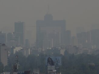 Se mantiene la contingencia ambiental en el Valle de México: ¿Qué autos no circulan este domingo?