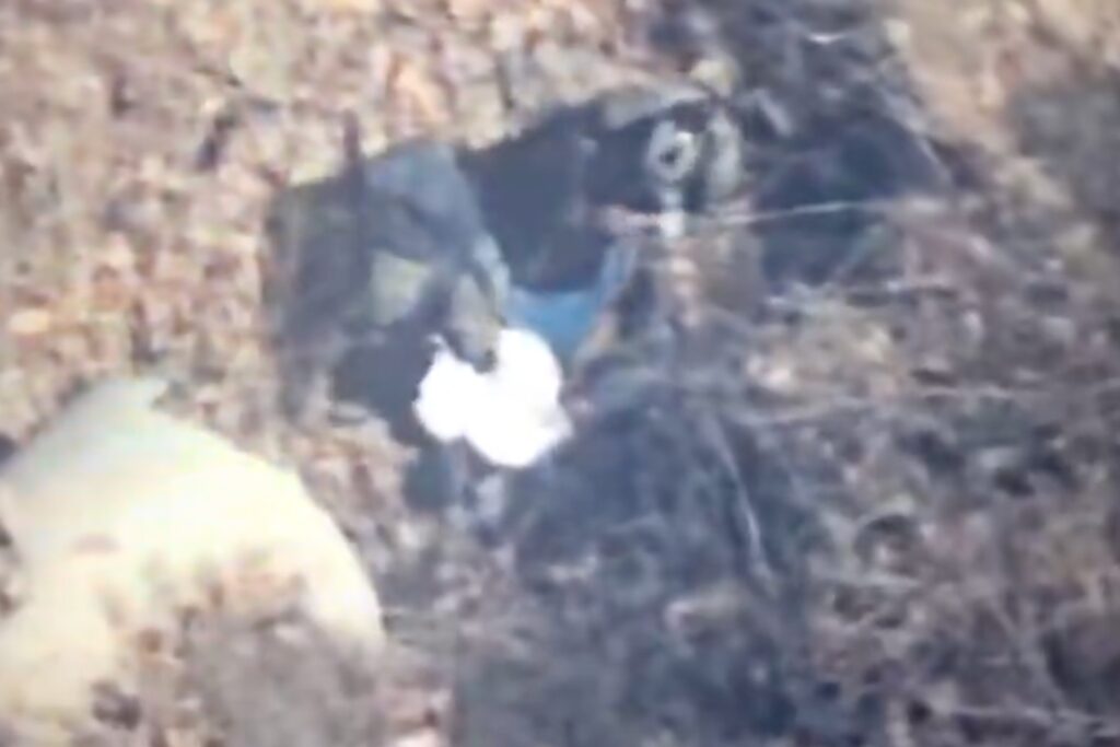 Así fue la detención del ‘Jardinero’, líder del CJNG; fue seguido por 19 meses