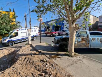 Adulto mayor pierde el control de su pickup y se impacta contra un árbol en la avenida Pacheco
