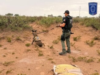 Localiza FGE osamenta en fosa clandestina en Senderos de San Isidro