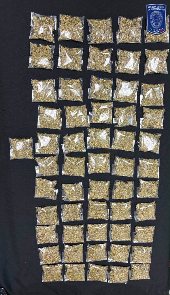 Detiene AEI a masculino con casi medio kilo de mariguana en Cd. Juárez