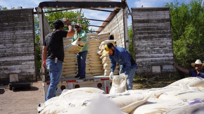  Estado y Municipio entregan alimento para ganado a mil 150 productores de la zona rural de la capital
