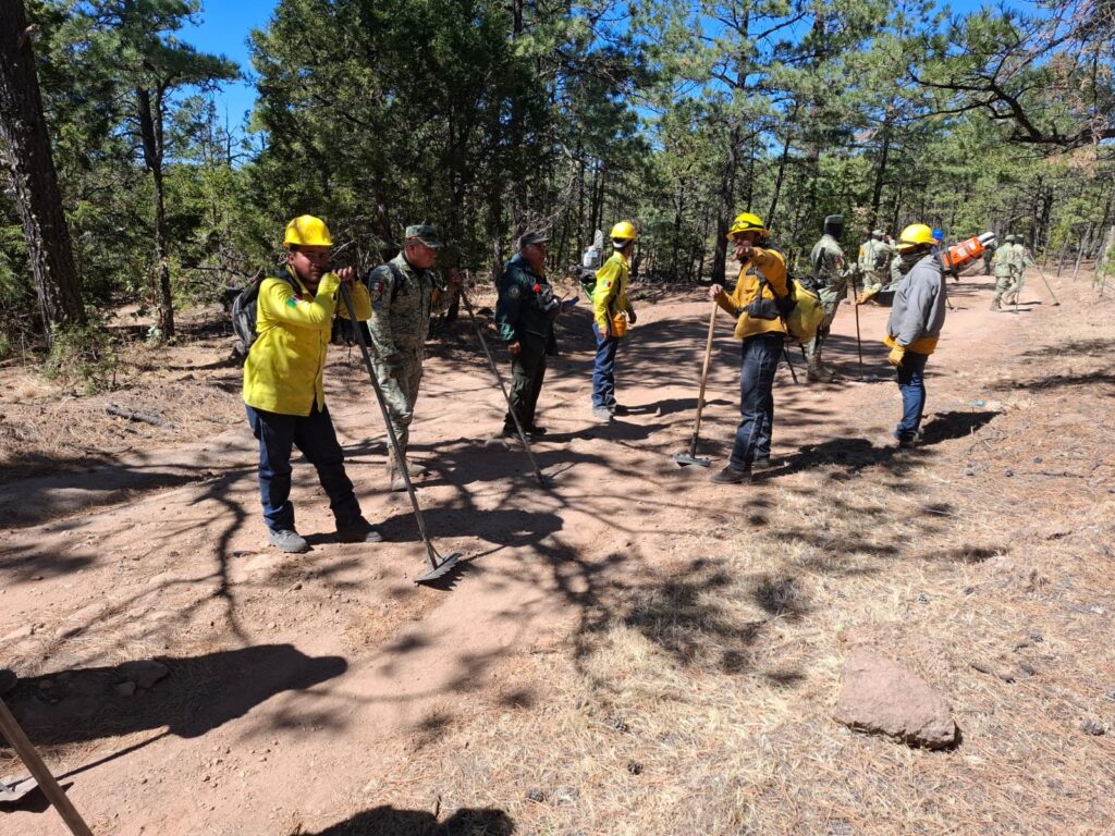 Llama SDR a evitar quemas agrícolas sin autorización para prevenir incendios forestales