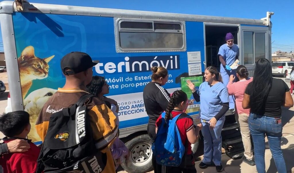 Mascotas más saludables en la zona rural: Municipio lleva servicios de protección animal