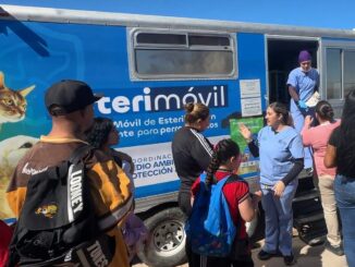 Mascotas más saludables en la zona rural: Municipio lleva servicios de protección animal
