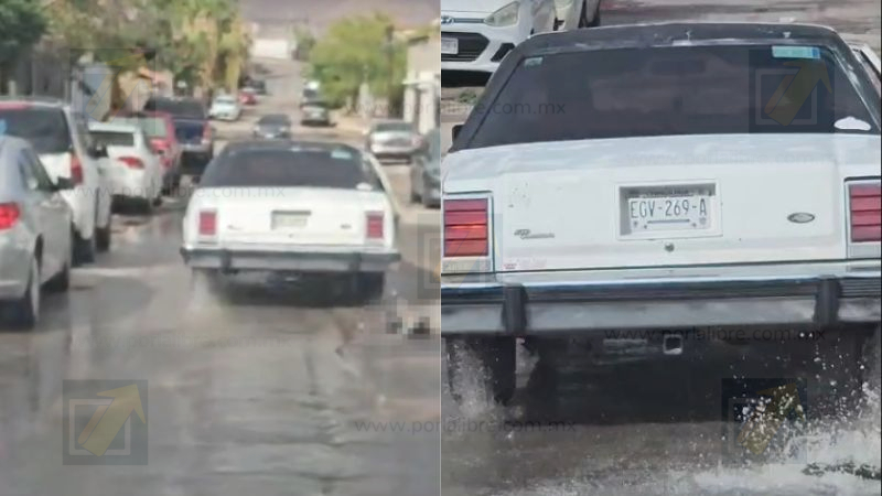 Captan brutal caso de maltrato animal en calles al norte de la ciudad 