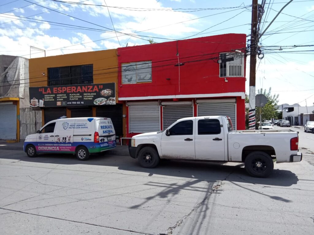 Detiene Policía Municipal a hombre por arrastrar un perrito hasta quitarle la vida